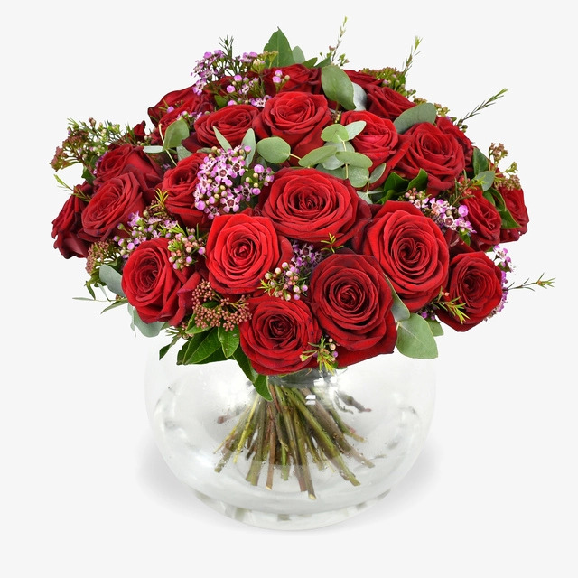 dozzina_rose_rosse_1