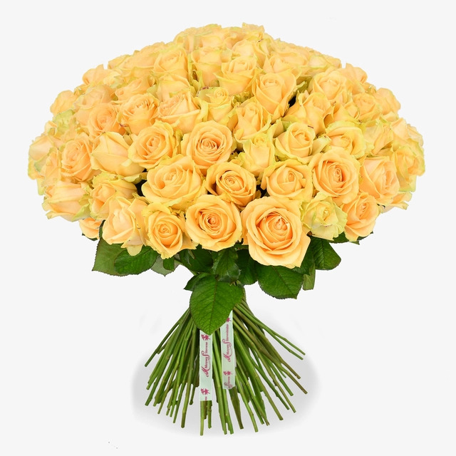 rose-gialle-1