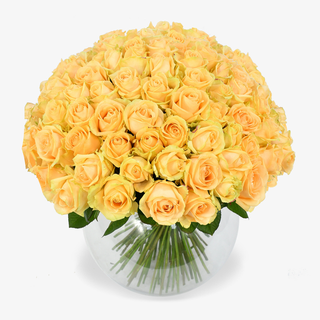 rose-gialle-2