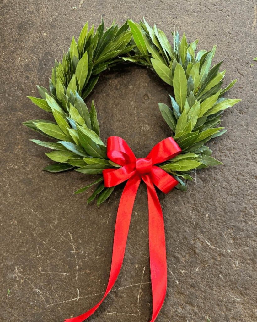 Coroncina per laurea semplice con fiocco
