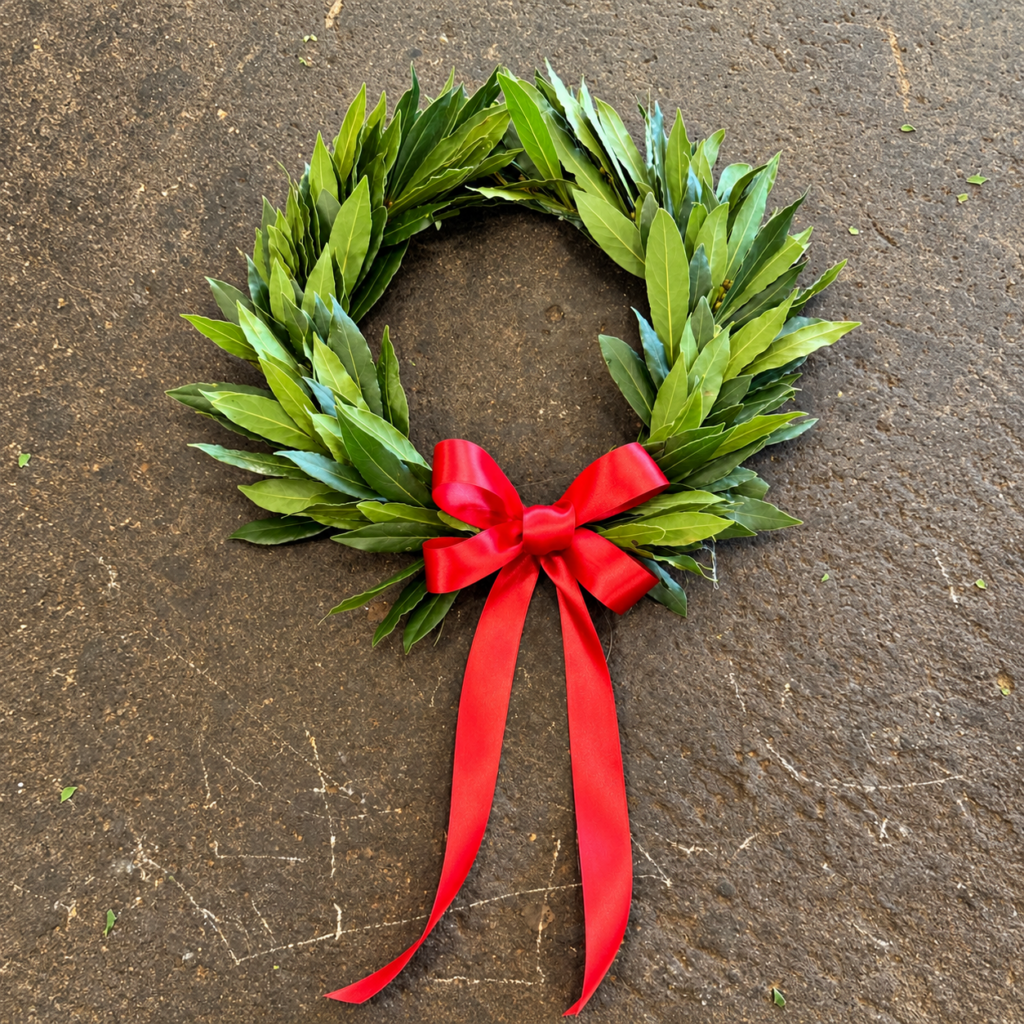 Coroncina-per-laurea-semplice-con-fiocco-