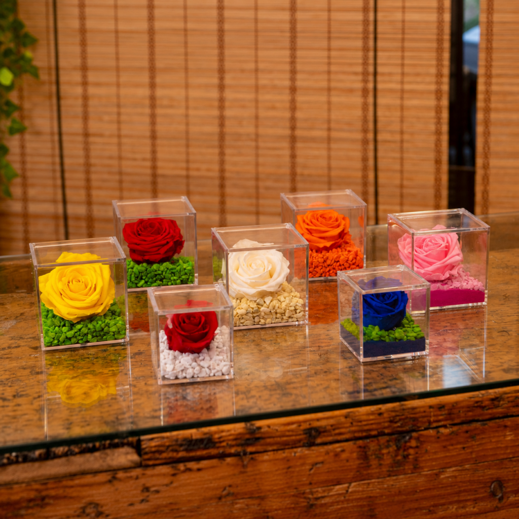 rose-stabilizzate-cubo