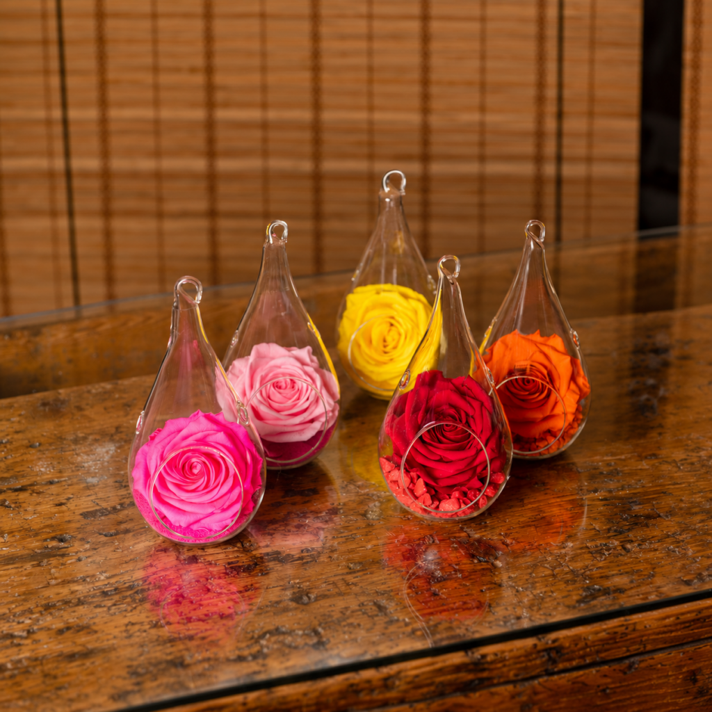 rose-stabilizzate-goccia
