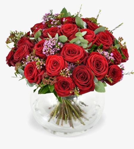 dozzina_rose_rosse_1